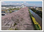 東日本大震災んら４年１ヶ月の亘理町の春風景